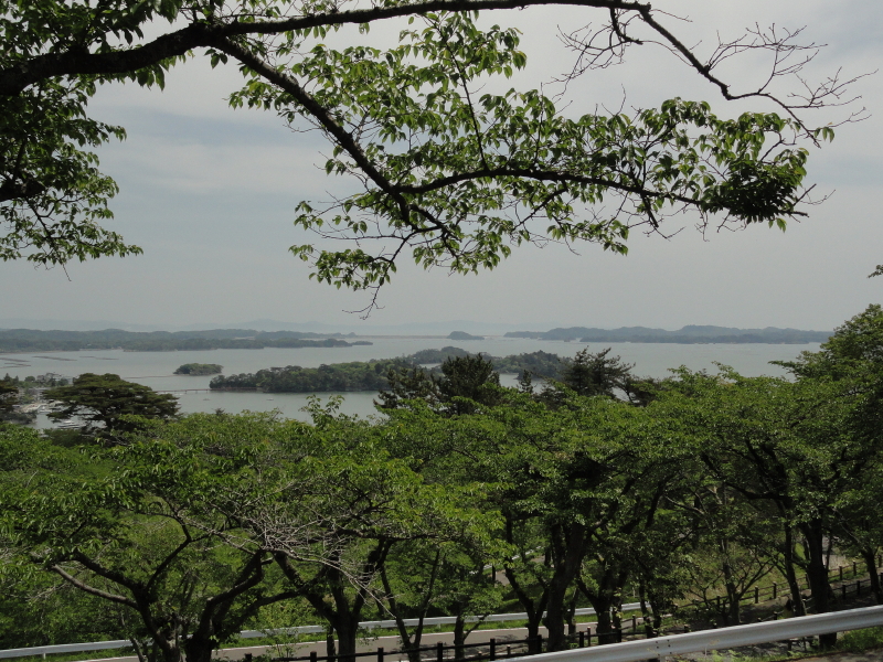 img0060.jpg