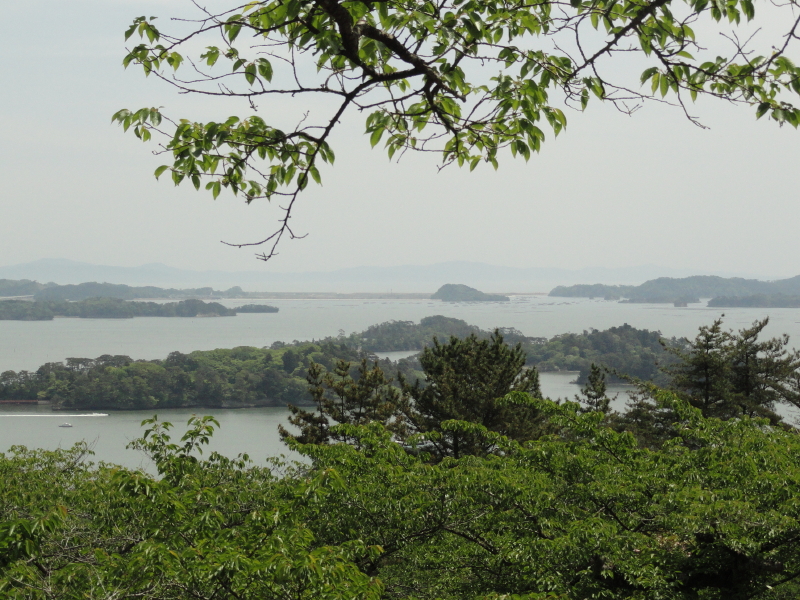 img0061.jpg