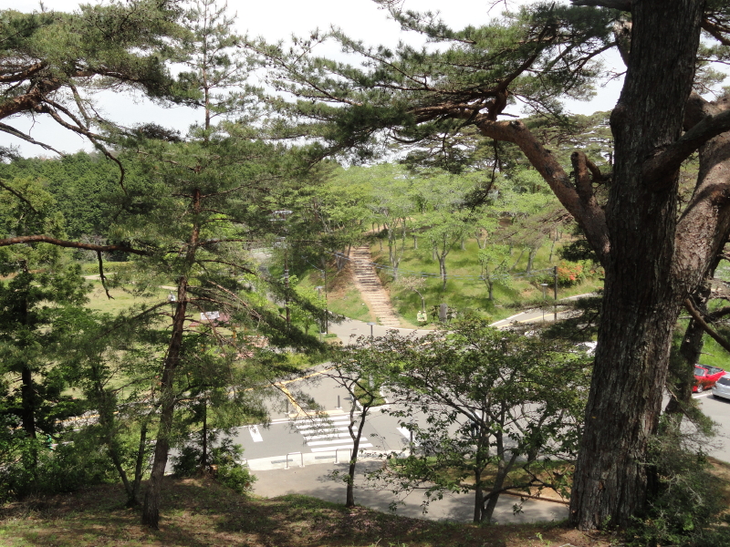 img0076.jpg