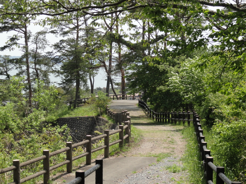 img0078.jpg