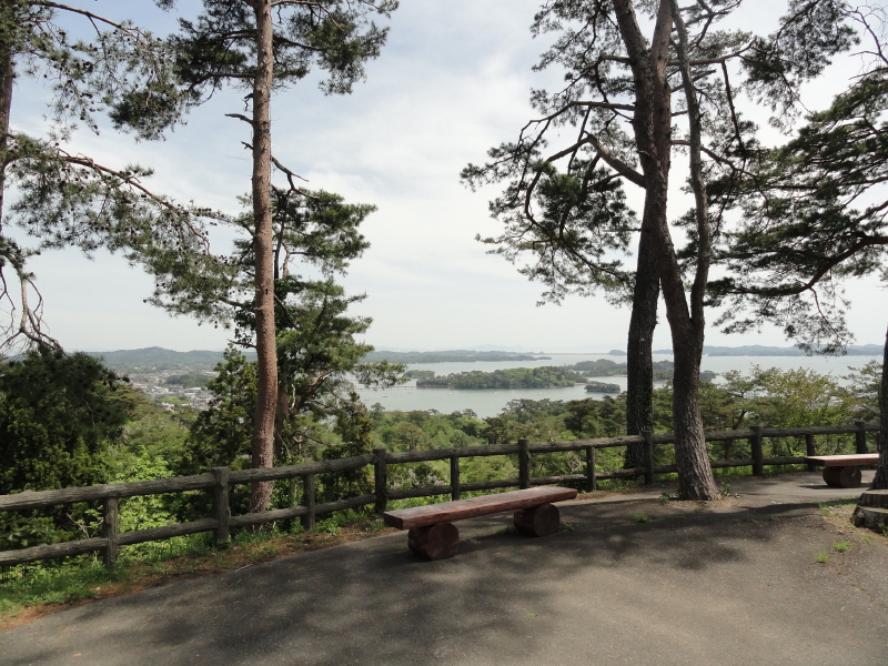 img0080.jpg