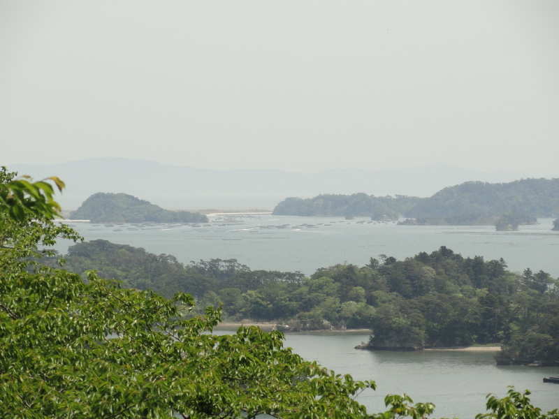 img0109.jpg