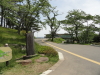 img0003.jpg