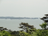 img0012.jpg