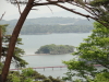 img0015.jpg