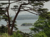 img0016.jpg