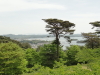 img0024.jpg