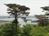 img0025.jpg