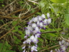 img0028.jpg
