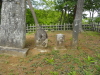 img0033.jpg