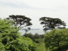 img0045.jpg