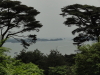img0046.jpg