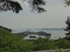 img0050.jpg