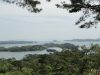 img0088.jpg