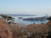 img0000.jpg
