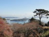 img0001.jpg