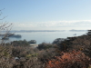 img0005.jpg