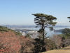 img0010.jpg