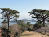 img0011.jpg
