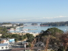 img0034.jpg