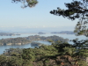 img0041.jpg