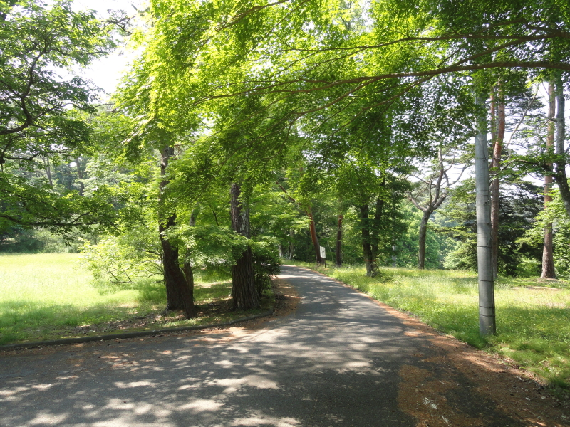 img0000.jpg