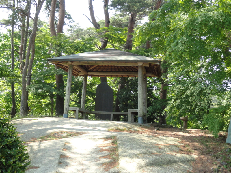 img0006.jpg