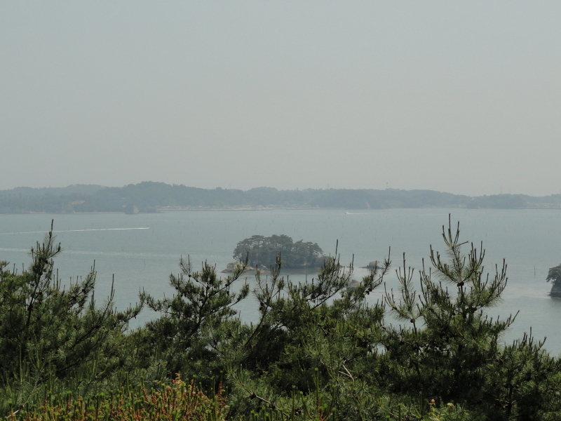img0017.jpg
