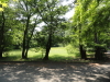 img0001.jpg