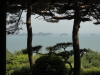 img0009.jpg