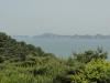 img0018.jpg