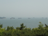 img0019.jpg