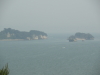 img0020.jpg