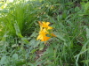 img0028.jpg