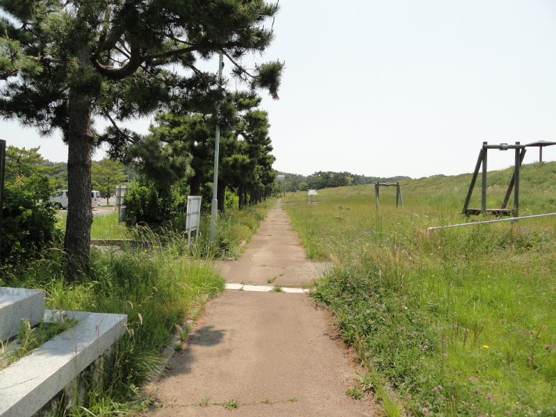 img0008.jpg