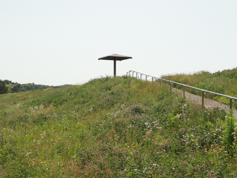 img0011.jpg