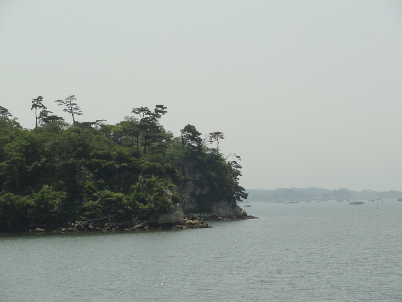img0016.jpg
