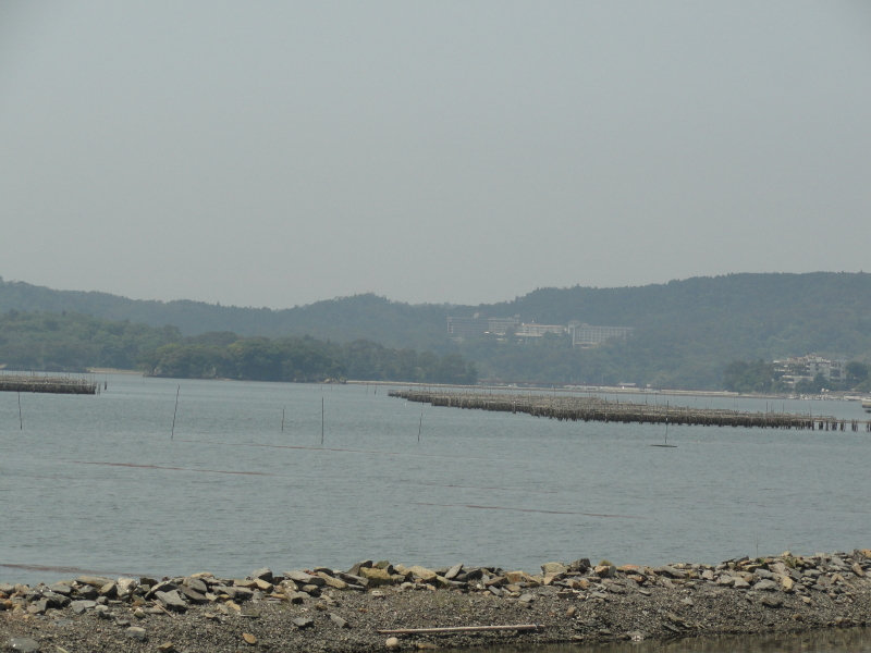 img0019.jpg