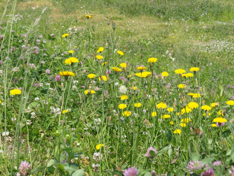 img0021.jpg