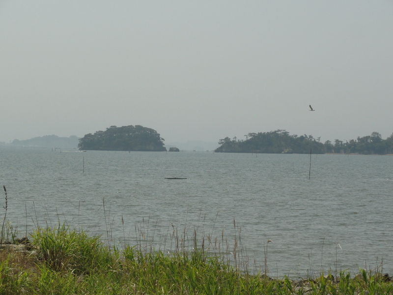 img0024.jpg