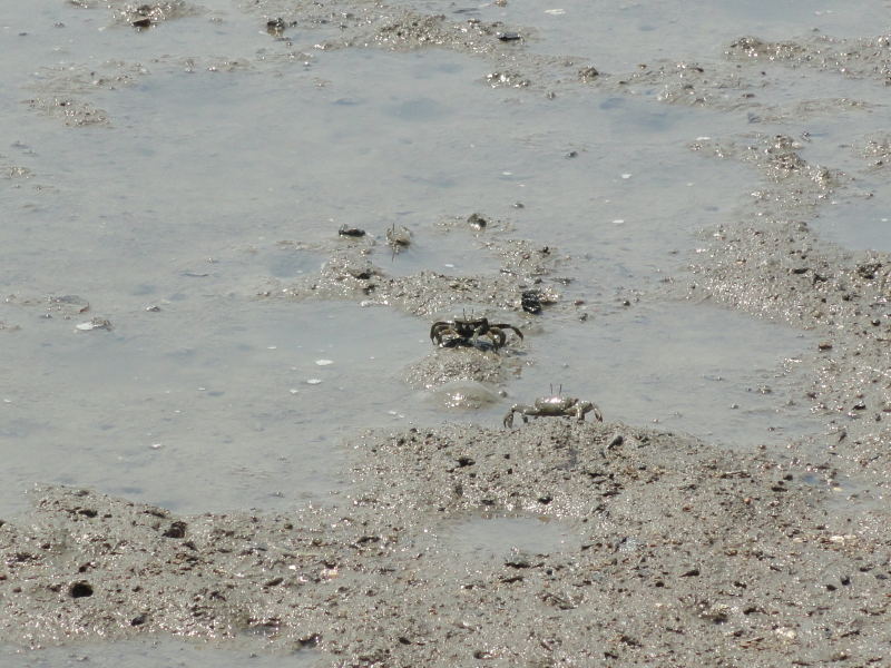 img0034.jpg