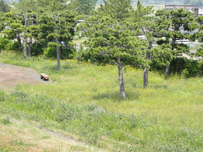 img0036.jpg