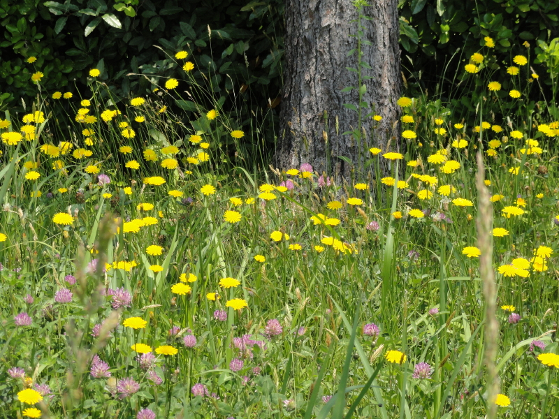 img0040.jpg