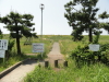 img0004.jpg