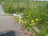 img0005.jpg