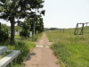 img0008.jpg