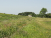 img0010.jpg