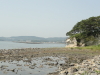 img0026.jpg