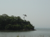 img0033.jpg