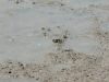 img0034.jpg